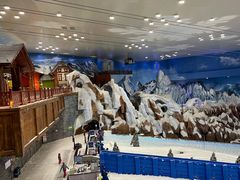 -湘江欢乐城欢乐雪域