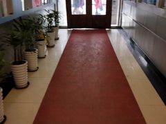 -上海市徐汇区口腔医院