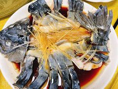 稀鳞硅鱼-煲来饱去冷水鱼