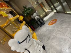 -木北护肤造型