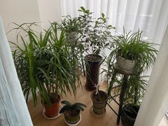 -逸栈养生SPA(望京店)