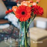 可能是一簇太阳花的样子吧，正能量满满