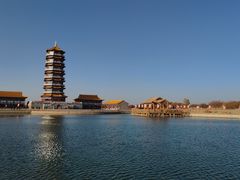 -金塔沙漠胡杨林景区
