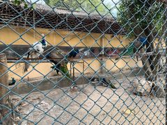 -园林美食城·本土农家菜(杨和镇店)