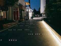 -和颐至尊酒店(北京望京798店)