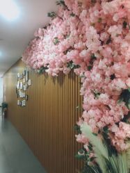 点击看大图 -翎兰瑜伽·普拉提
