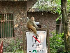 -南湾猴岛+椰田古寨一日游
