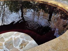 -天目湖涵田半山温泉