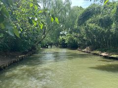-同里国家湿地公园