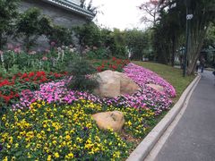 -晓港公园