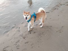 -南澳海滩