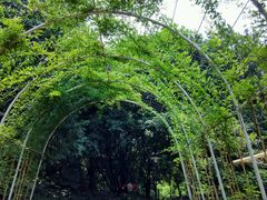android_upload_pic-天河儿童公园