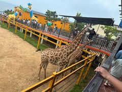 -西霞口神雕山野生动物世界