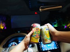 -枫花园汽车电影院(朝阳公园店)
