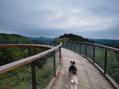 -山王坪喀斯特国家生态公园