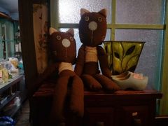 -猫咪博物馆(顶澳仔猫街店)