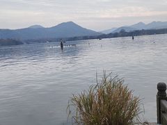 -西湖外事游船(花港观鱼码头)