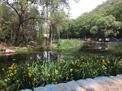 -白水寺森林公园