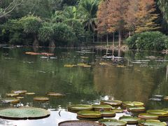 -中国科学院西双版纳热带植物园