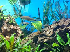 -太平洋海底世界