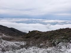 -大围山国家森林公园