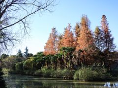 -上海怡沁园度假酒店