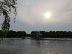 -上海鲜花港