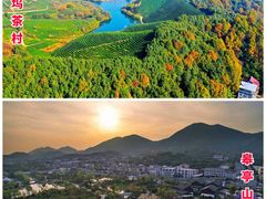 -龙坞茶村