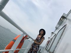 -长岛万鸟岛