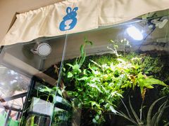 -小意思咖啡店(草桥店)