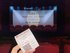 -金逸影城(武汉人信汇IMAX店)