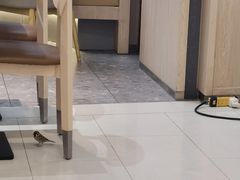 -大家乐(广州花城汇店)