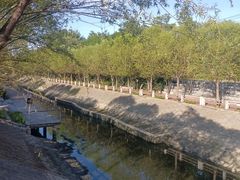 -大望京公园
