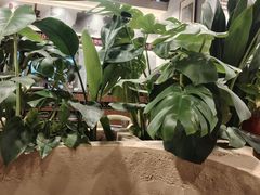 -云海肴汽锅鸡·云南小炒(曲江大悦城店)