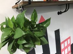 -V8潮牌·接发烫染连锁