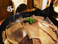 -井格重庆火锅(西直门凯德Mall店)