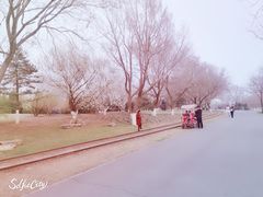 -永定河休闲森林公园