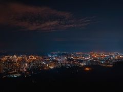 -长虫山生态公园风景林