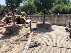 -西安秦岭野生动物园