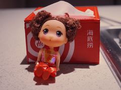 -海底捞(胡志明店)
