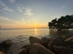 -宝安西湾红树林湿地公园