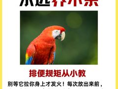 -爱侣宠医·鹦鹉专科·小型哺乳类·异宠专科(灵石路店)