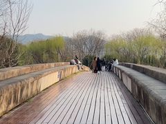 -中国湿地博物馆