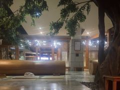 -爱江山温泉(凌奥店)