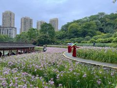 -龙头寺公园