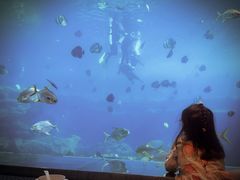 -瑞德姆美人鱼海底演艺主题餐厅(亚龙湾店)