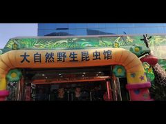 -上海大自然野生昆虫馆(东方明珠·爬宠昆虫探索中心)