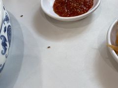 -黄埔华苑酒家(黄埔总店)