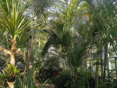 -国家植物园南园