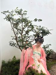-烟雨江南汉服体验馆